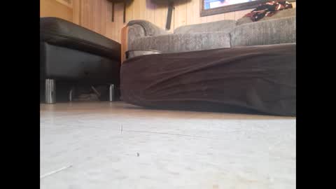 dildosnme22 online show from 02/19/25, 07:48