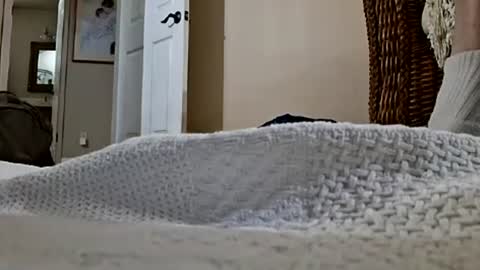 dildosnme22 online show from 08/01/26, 10:52