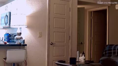 Dilldough405 online show from 09/21/25, 01:18