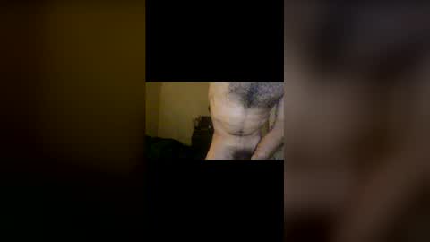 Snapshot of dinglerdingler chatting on 02/12/26, 03:23 Dingler online show from 02/12/26, 03:23