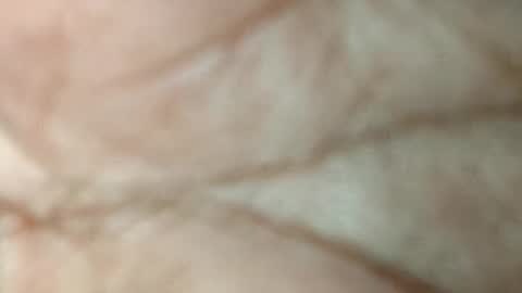 dyno online show from 11/17/25, 05:52