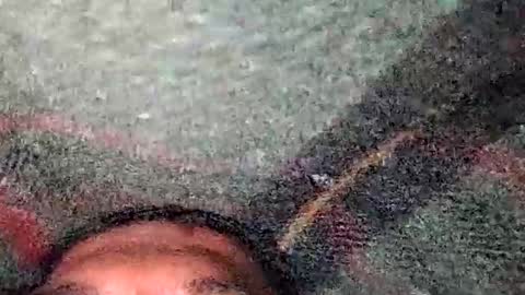 dyno online show from 12/19/25, 05:31