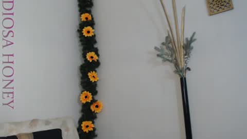 Diosa online show from 01/29/25, 08:46