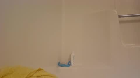 Snapshot of dipstik11 chatting on 10/13/25, 05:51 DIPSTIK online show from 10/13/25, 05:51