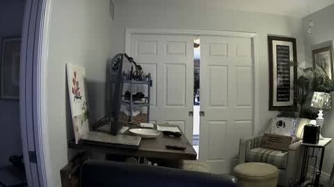 Snapshot of dirkpitt223 chatting on 01/02/25, 03:05 DirtkPitt Fun guy working online show from 01/02/25, 03:05