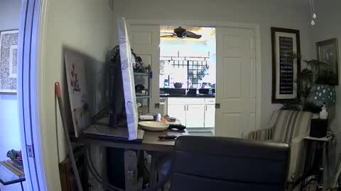 Snapshot of dirkpitt223 chatting on 01/03/25, 07:39 DirtkPitt Fun guy working online show from 01/03/25, 07:39