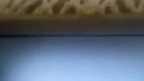 Snapshot of dirlandis chatting on 04/09/26, 06:13 free4fun online show from 04/09/26, 06:13