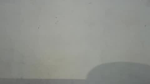 Snapshot of dirtiplay chatting on 02/05/25, 01:37 dirtiplay online show from 02/05/25, 01:37