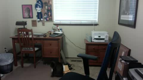 dirtrider195080438 online show from 06/28/26, 04:46