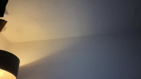 Snapshot of dirtybastard81 chatting on 11/25/25, 01:49 Jan online show from 11/25/25, 01:49