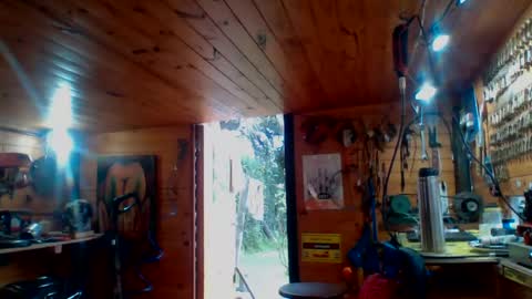 Snapshot of discretopasivo chatting on 06/13/26, 05:00 discretopasivo online show from 06/13/26, 05:00