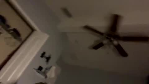 dixnice online show from 02/21/26, 07:20