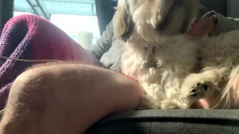 Snapshot of dkdad1966 chatting on 12/15/25, 09:13 DKdad online show from 12/15/25, 09:13