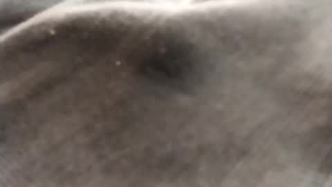 Snapshot of dlov3 chatting on 02/08/26, 10:13 dlov3 online show from 02/08/26, 10:13