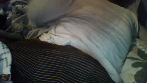 Snapshot of dockomodo77 chatting on 12/03/25, 08:56 Alex online show from 12/03/25, 08:56