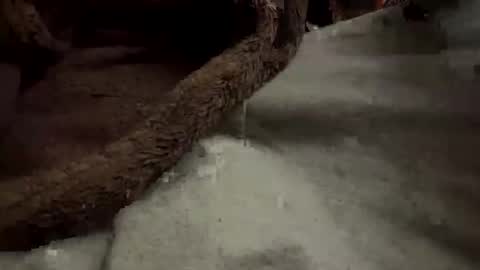 doingmek9 online show from 02/20/25, 11:20