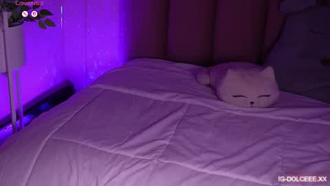 Snapshot of dolcexx chatting on 01/13/26, 08:03 Dolcexx online show from 01/13/26, 08:03