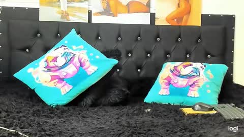 Snapshot of doll_celeste19 chatting on 12/22/24, 04:06 C E L E S T E online show from 12/22/24, 04:06