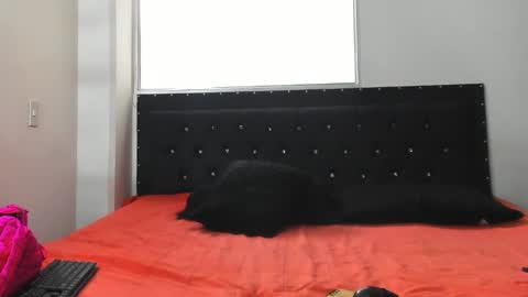 Snapshot of doll_celeste19 chatting on 10/08/25, 07:11 C E L E S T E online show from 10/08/25, 07:11