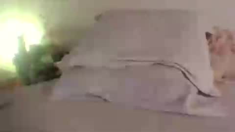 doll_dollys_ online show from 06/30/26, 05:14