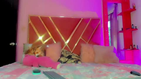 dollcute_latin online show from 05/01/26, 10:03