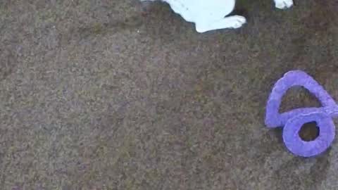 Snapshot of dollniki chatting on 10/29/25, 10:06 Niki Doll online show from 10/29/25, 10:06