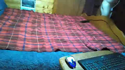 Snapshot of dolomois chatting on 02/12/25, 01:06 dolomois online show from 02/12/25, 01:06