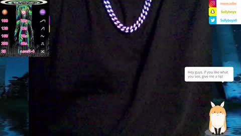 Snapshot of domanarchist chatting on 02/08/25, 07:49 Sullyboyx online show from 02/08/25, 07:49