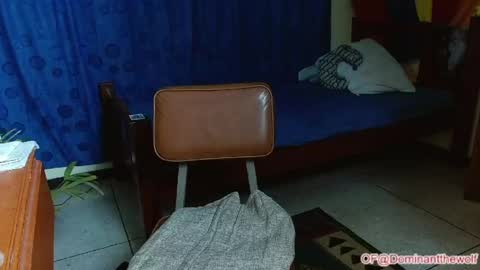 Logan - INDEPENDET MODEL online show from 05/11/26, 05:46