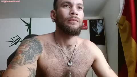 Logan - INDEPENDET MODEL online show from 05/11/26, 11:57