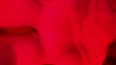 Snapshot of domingodelluvia chatting on 11/17/25, 02:06 Alzest online show from 11/17/25, 02:06