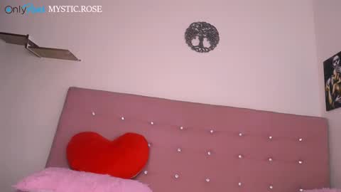 Snapshot of dominika_angel chatting on 12/28/24, 02:54 online show from 12/28/24, 02:54
