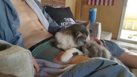 Snapshot of dommepleasemistress chatting on 03/22/26, 05:05 dommepleasemistress online show from 03/22/26, 05:05