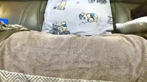 LuvmycockTS69 online show from 11/14/25, 03:16