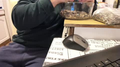 Snapshot of doriancretu95 chatting on 01/01/25, 12:00 menu below online show from 01/01/25, 12:00