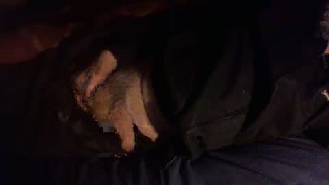 Snapshot of dorsetbiker714 chatting on 01/08/26, 06:32 Hello welcome to Slutsville I am the Naked Chef really but you may call me Peter online show from 01/08/26, 06:32