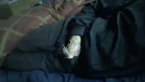 Snapshot of dorsetbiker714 chatting on 01/12/26, 09:58 Hello welcome to Slutsville I am the Naked Chef really but you may call me Peter online show from 01/12/26, 09:58