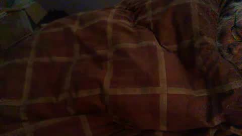 Snapshot of dorsetbiker714 chatting on 02/12/26, 08:53 Hello welcome to Slutsville I am the Naked Chef really but you may call me Peter online show from 02/12/26, 08:53