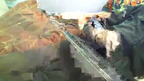 Snapshot of dorsetbiker714 chatting on 04/18/26, 12:20 Hello welcome to Slutsville I am the Naked Chef really but you may call me Peter online show from 04/18/26, 12:20