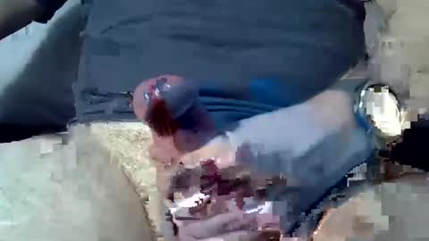 dosser8 online show from 01/08/25, 07:24