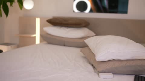    .         . online show from 12/05/25, 08:01