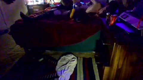 Snapshot of dowhatuwantwithme100 chatting on 02/09/26, 05:00 Driver Dick Kylie Tits online show from 02/09/26, 05:00