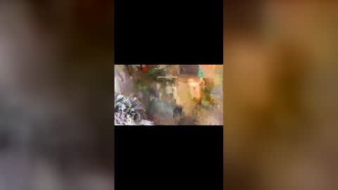 dpbbb online show from 04/05/26, 05:04