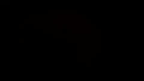 Snapshot of dpirated1 chatting on 03/08/25, 06:47 MrPirated online show from 03/08/25, 06:47