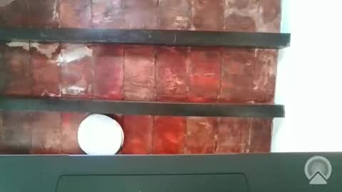 Snapshot of dread1990 chatting on 12/04/25, 04:05 new profile Aircum99 online show from 12/04/25, 04:05