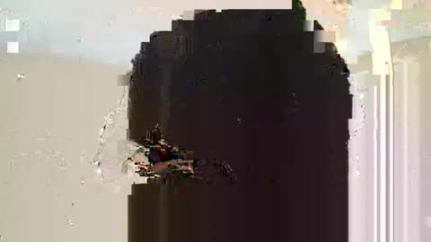 Snapshot of dreadstarr chatting on 03/10/25, 11:10 Dread online show from 03/10/25, 11:10