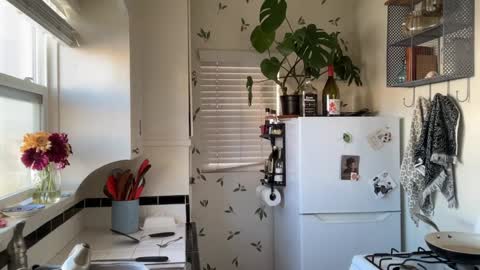 RIRI OR DREAMY online show from 12/18/24, 07:30