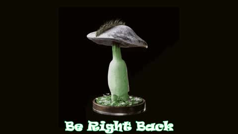 Tara  Sonny online show from 10/02/25, 12:17