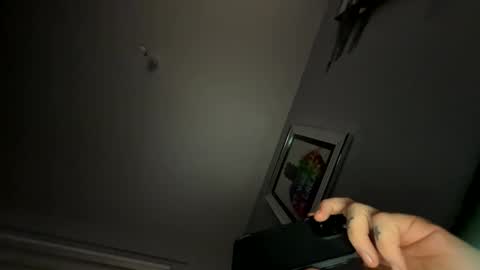 Snapshot of drippinggenie chatting on 01/29/25, 03:44 drippinggenie online show from 01/29/25, 03:44