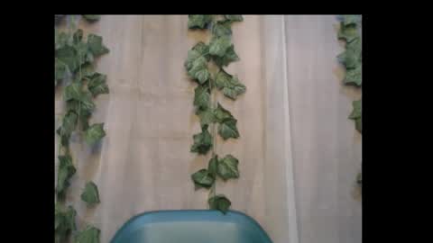 linda online show from 10/03/25, 08:50